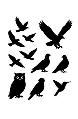 Silhouette Birds Owl, Eagle, Dove, Pigeon, Hummingbird, and More