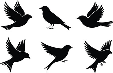 PrBird silhouette vector set, flying and perched poses, nature illustration, wildlife art, black design elements for creative projectsint