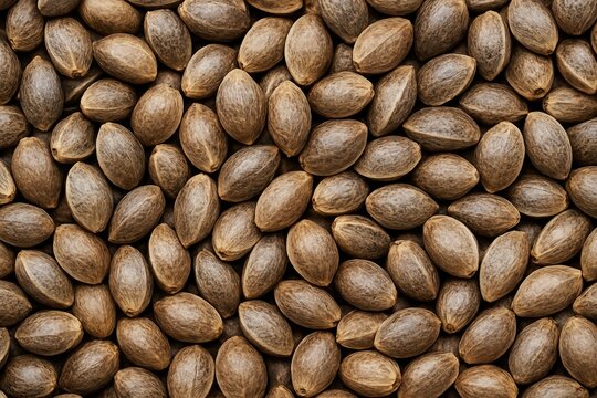 Create a unique seed number for initialization