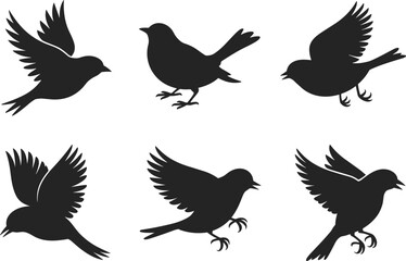 PriSilhouette bird illustrations, flying and perched birds, vector graphics, black and white bird designs, perfect for nature-themed projects, decornt