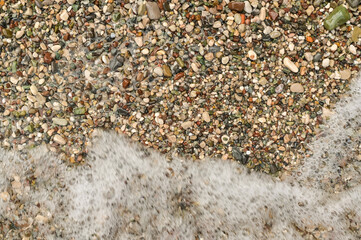 Detailed beach surface filled with pebbles, shells, and sand grains. Natural textures and organic arrangement create an abstract pattern. beach composition with textures of tiny stones and sand.