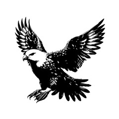 Fototapeta premium Majestic eagle in flight, isolated on white background, vintage illustration