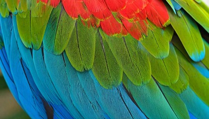 A vibrant and colorful macro photograph of exotic parrot plumage, showcasing the detailed texture and natural pattern of macaw feathers as an abstract background