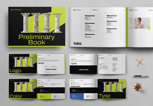 Preliminary Brand Guidelines Layout