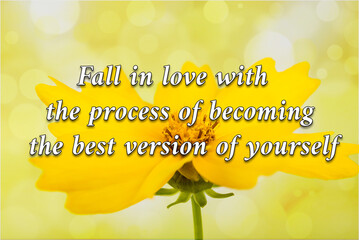 Fall in love with  the process of becoming   the best version of yourself