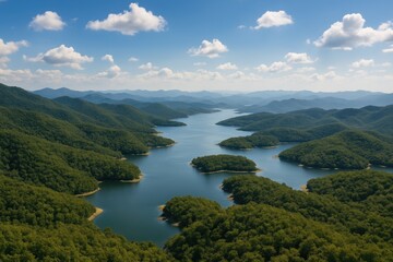 Obraz premium A high-altitude shot capturing a dense forested area