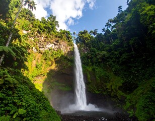 Lush rainforest waterfall cascading