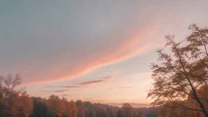 Soothing fall sky painted in pastel tones under a light cloud cover, embodying peacefulness and stillness. Suitable for serene, atmospheric visuals.