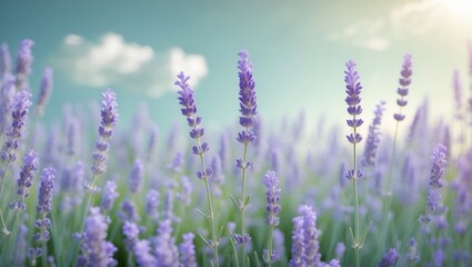 Lavender plants in a garden scene with soothing blue and green background