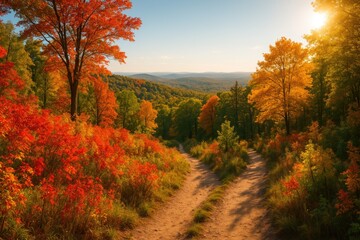 Fototapeta premium Colorful fall foliage near a hiking trail atop a hill