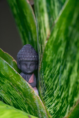 Serene Buddha Statue Amidst Green Leaves