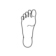 Obraz premium Simple Outline of a Human Foot
