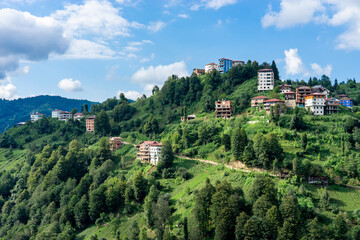 Lush green hills surrounding Camlihemin in Rize, Turkey, near Black Sea coast