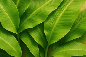 Vibrant banana leaves providing a natural background