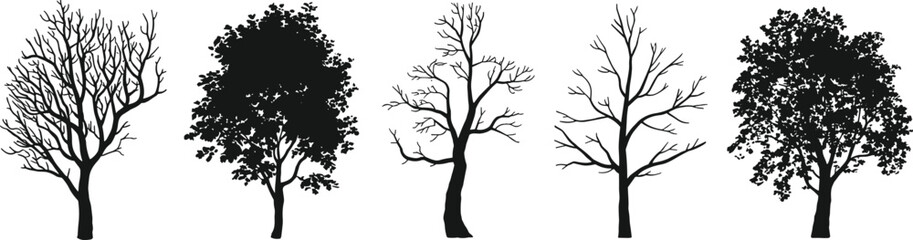 Obraz premium Set of 5 Minimalist Tree Silhouettes, Black and White Nature Illustrations with Leafless and Leafy Trees for Modern Graphic Design