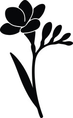 Vector Illustrator Freesia Flower Blooming with Buds Black and White Silhouette