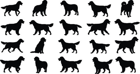 Set of Golden Retriever Silhouettes – Vector Collection of Dog Poses for Pet Designs, Logos, and Animal Illustrations