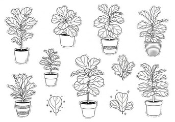 Botanical elegance a delicate line art illustration of potted fiddle leaf fig trees