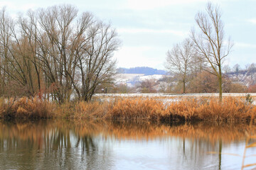 Obraz premium People Walking Through Snowy Forest by Lake