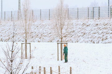 Worker Cutting Young Tree Branches in Winter