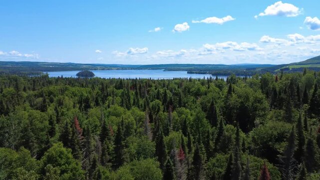 An elevated flight over a lush forest offers a panoramic view of a large lake where a boat leaves its wake disturbing the calm waters. Lake Matapedia, Quebec, Canada, 2025.