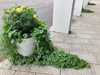 Flowers in a pot next to a colonnade