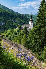 Blooming irises with church of Spania Dolina in background, Slovakia