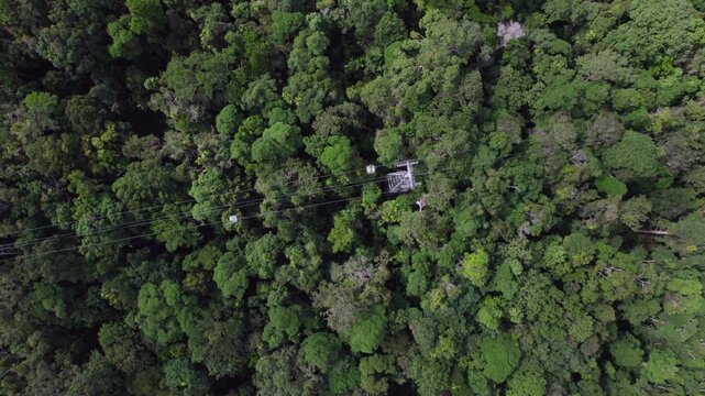 Stunning top view of the Kuranda skyrail over a vibrant green rainforest canopy, Queensland