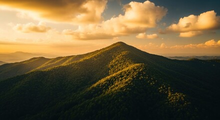 Mountain peak bathed in golden sunset light.  Dense forest draped across rolling hills.  Vast vista.  Soft clouds paint the sky.  Tranquil