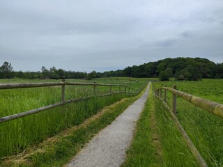 A countryside gravel path through fenced pasture