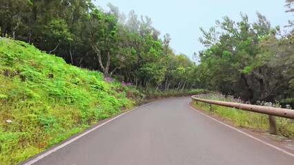 A stunningly beautiful winding road gracefully surrounded by vibrant greenery and colorful blooming flowers all around