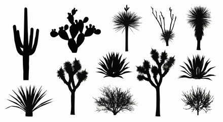 Desert Plant Silhouette Set on White Background – Cactus, Succulent, Aloe, Agave, Yucca, Palm and Dry Bush Vector Silhouettes Collection Isolated