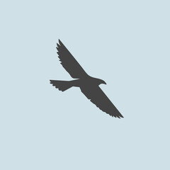 Silhouette of an eagle soaring high in the sky. Flying eagle silhouette on a clear background.