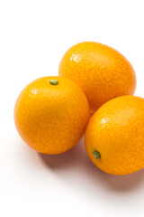 甘酸っぱい柑橘類 金柑の果実イメージ