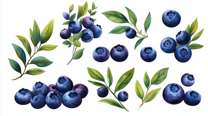 Set of blueberries isolated on a white background. Blueberries with leaves, closeup. Collection of fresh blueberries.