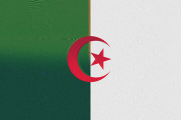 A textured illustration presents the national flag, featuring green and white vertical bands, with a central crescent and star in red, evokes a sense of national identity, symbolising