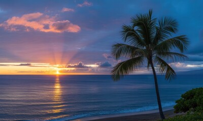 Obraz premium Sunset over tropical ocean, palm tree silhouettes
