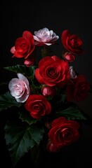 Obraz premium Crimson and blush blooms embracing darkness: A floral portrait of delicate strength