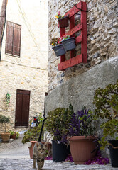 A small cat in a street at Lefkara village