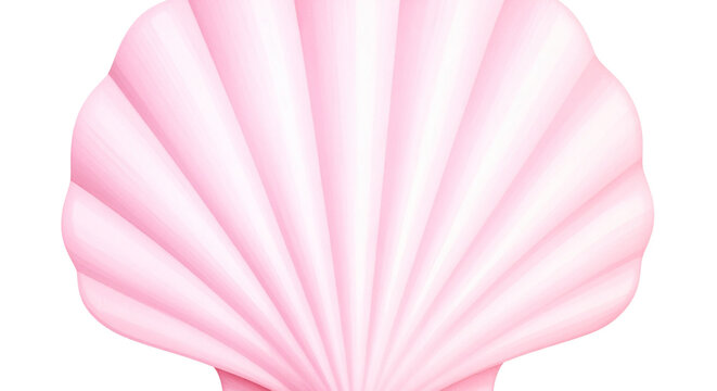 pink shell isolated on white