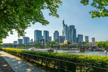 Frankfurt City Downtown, Bridge, Trees Branches and Main River on Sunny Day. Hesse, Germany