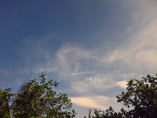 Dramatic cloudy sky in the afternoon with soft sunlight and tree silhouettes, great for weather, atmosphere, and nature backgrounds