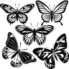 Fototapeta premium Four Elegant Black and White Butterfly Illustrations: Perfect for Design Projects