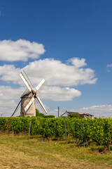 Windmill standing in the middle of a vineyard in Chaudefonds sur Layon, France, under a blue sky