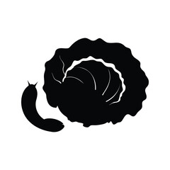 Black and white illustration of a slug next to a cabbage head