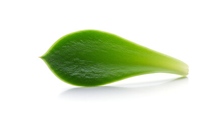 Green Leaf on White Background A Natural, Vibrant Still Life