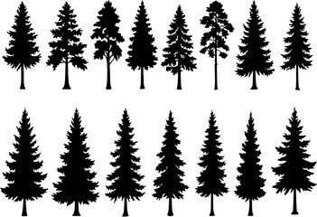 Obraz premium Pine tree silhouettes. Evergreen forest firs and spruces black shapes, wild nature trees templates. Vector illustration woodland trees set on white background