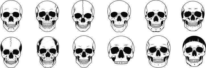 Detailed skull illustrations set, various human skull designs, black and white skull artwork, spooky skeleton heads collection, anatomical skull vector drawings, horror skull icons