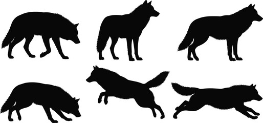 Wolf silhouette set, wild animal vector, black wolf icons, forest predator clipart, nature wildlife illustration, hunting wolf shapes, wild canine outlines