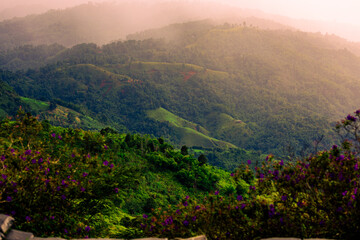Panoramic nature background of mountain tops or from the top of a hill, where the trees are seen, hidden and there is beautiful light shining from the sky.
